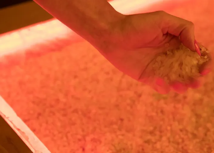 Gasthuis La Maison D'antan